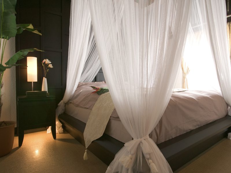 ASIA 401号室サムネイル